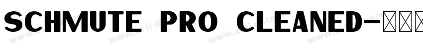 schmute pro cleaned字体转换